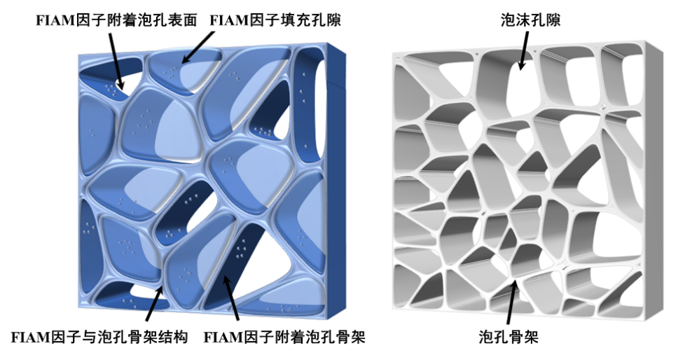 非牛顿流体生活应用_牛顿流体的原理是什么_牛顿流体实验怎么做的