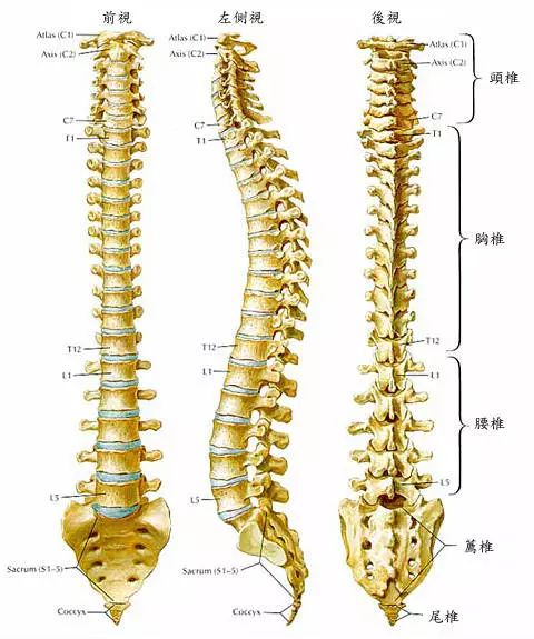 锥体上滚的实际应用_椎体上滚生活应用_椎体上滚在生活中的运用