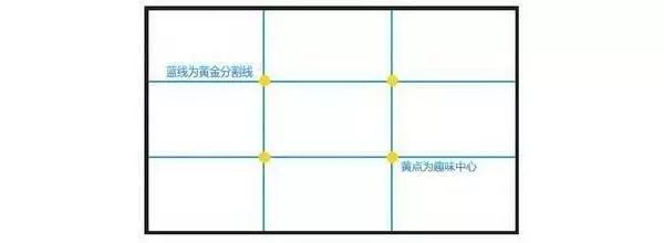 斐波那契数列应用题_斐波那契数列生活应用_斐波那契数列生活中有哪些应用