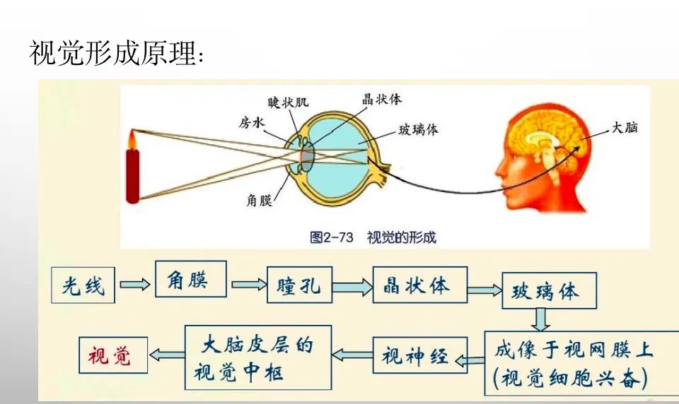 原理应用浮力原理_数学应用题解答器_听诊器原理生活应用