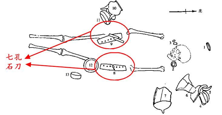 北斗七星的斗柄是哪个位置_北斗七星斗柄_北斗七星的斗柄