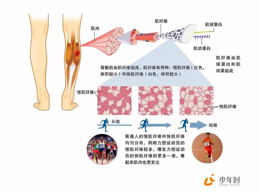 三十六计生活应用实例_记录生活应用_应用实例计生活中的数据