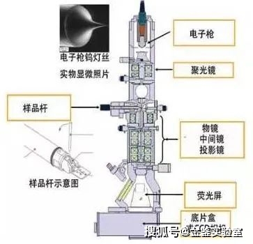 传感器在生活应用实例_传感器生活中应用_传感器生活中的应用实例