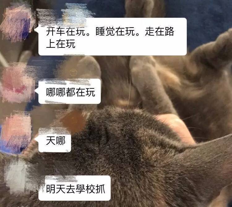 这款抓宠物小精灵的游戏能引领AR行业的风口吗？