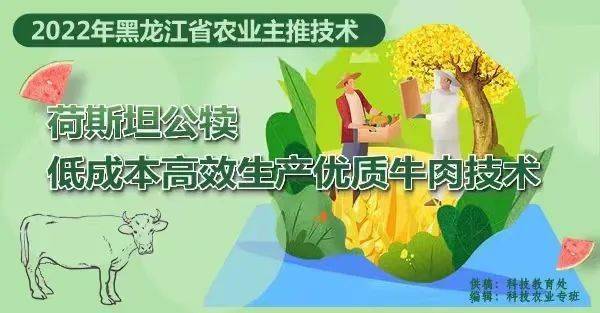 2022年黑龙江省农业主推技术—荷斯坦公犊低成本高效生产优质牛肉技术